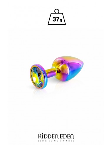 Plug bijou aluminium Rainbow XS - Hidden Eden