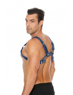 Harnais Buckle Bulldog bleu - Ouch! 2