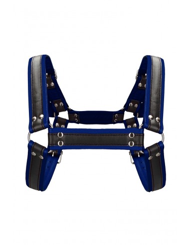 Harnais Buckle Bulldog bleu - Ouch!