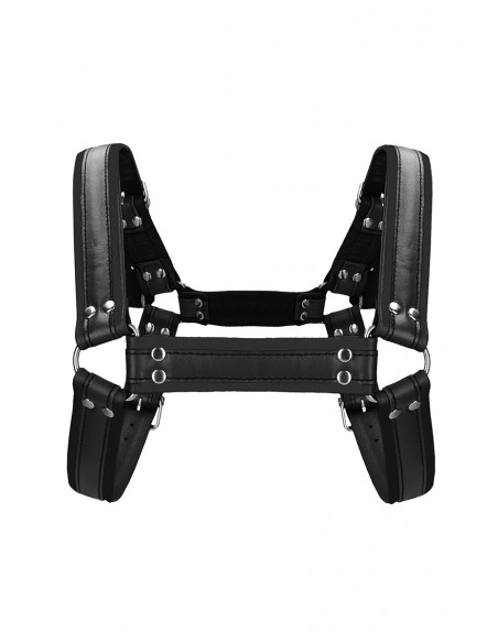 Harnais Buckle Bulldog noir - Ouch!