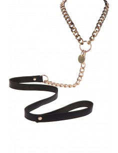 Collier et laisse Statement - Taboom 2