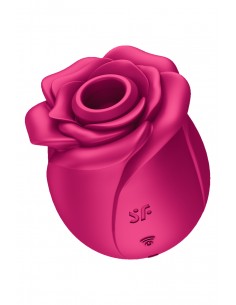 Stimulateur clitoridien Satisfyer Pro 2 Classic Blossom 2