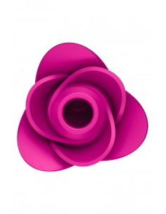 Stimulateur clitoridien Satisfyer Pro 2 Modern Blossom 2
