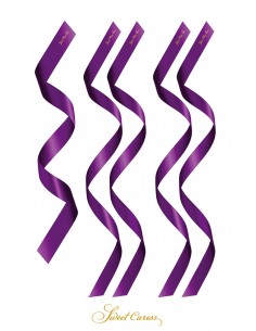 5 liens satin pourpre -...