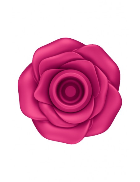 Stimulateur clitoridien Satisfyer Pro 2 Classic Blossom