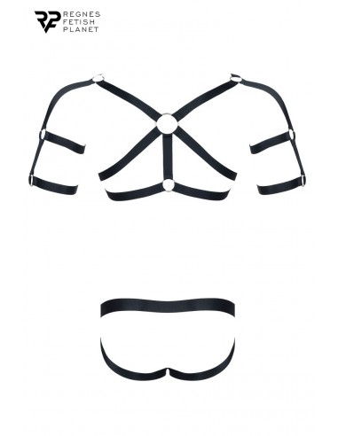 Ensemble harnais et jockstrap ouvert...