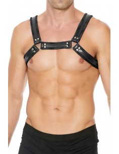 Harnais Buckle Bulldog noir...