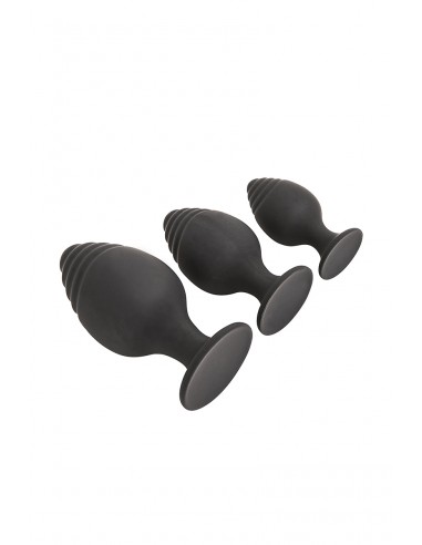 Schachtel mit 3 Analplugs Les...