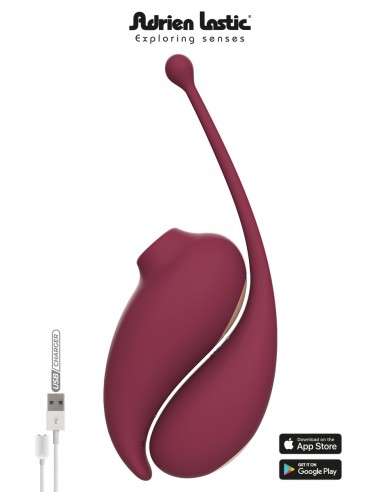 Verbundenes vibrierendes Ei und...