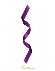 Bandeau BDSM satin pourpre...