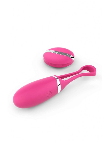 Secret Delight Control Remoto Huevo Vibrador